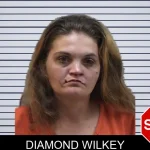 Diamond Wilkey Mugshots