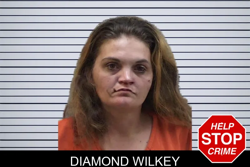 Diamond Wilkey Mugshots