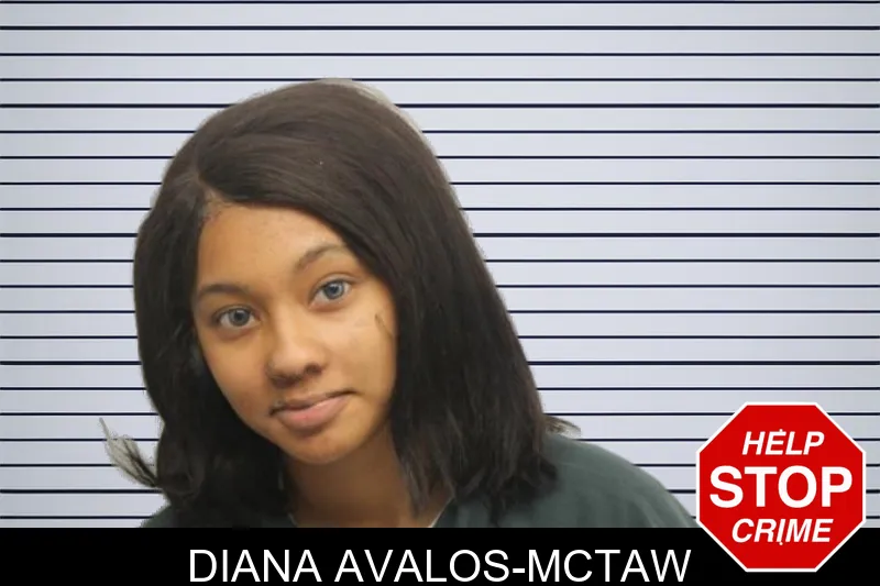 Diana Avalos-McTaw mugshot
