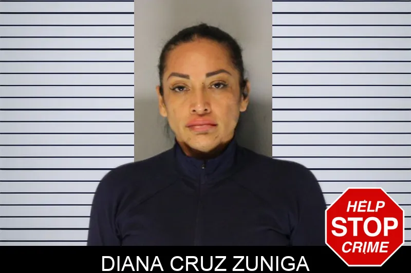 Diana Cruz Zuniga Mugshots