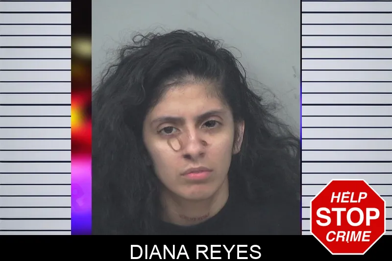 Diana Reyes mugshot – Gwinnett County , Georgia Diana Reyes mugshot