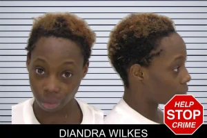 Diandra Wilkes mugshot