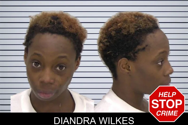 Diandra Wilkes mugshot
