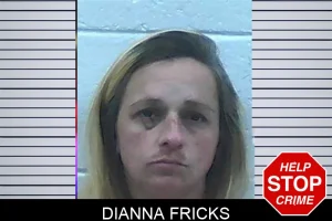 Dianna Fricks mugshot