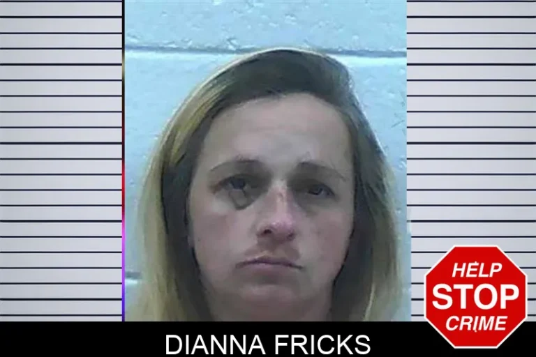 Dianna Fricks mugshot – Jackson County , Georgia Dianna Fricks