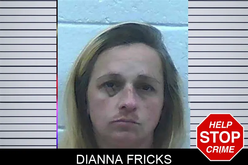 Dianna Fricks Mugshots