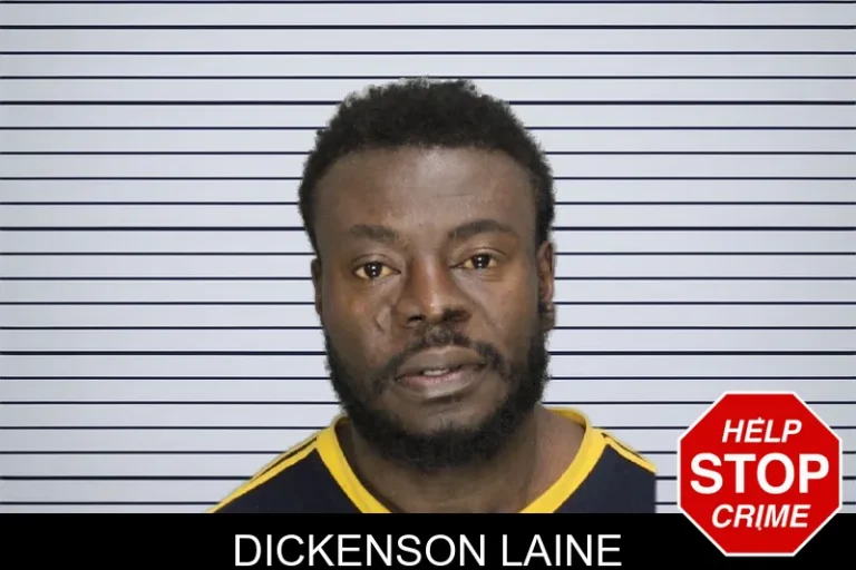 Dickenson Laine mugshot – Cobb County , Georgia Dickenson Laine