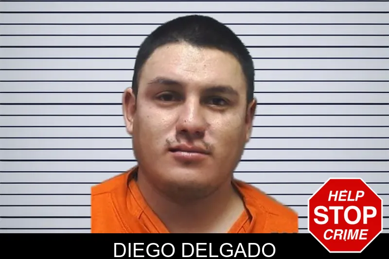Diego Delgado Mugshots