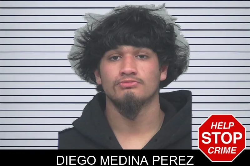 Diego Medina Perez mugshot