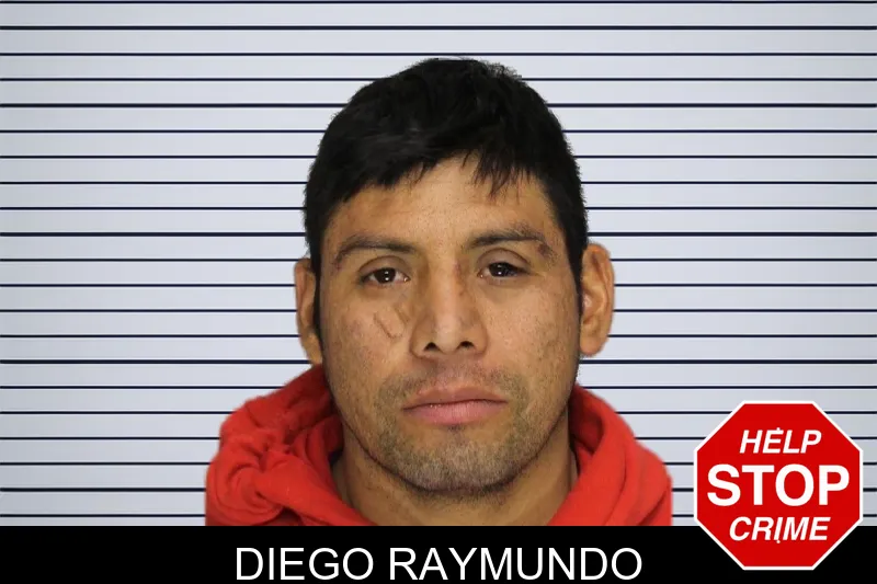 Diego Raymundo mugshot