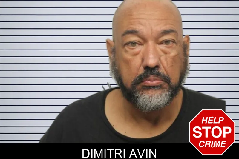 Dimitri Avin Mugshots