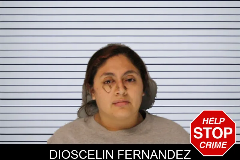 Dioscelin Fernandez Mugshots