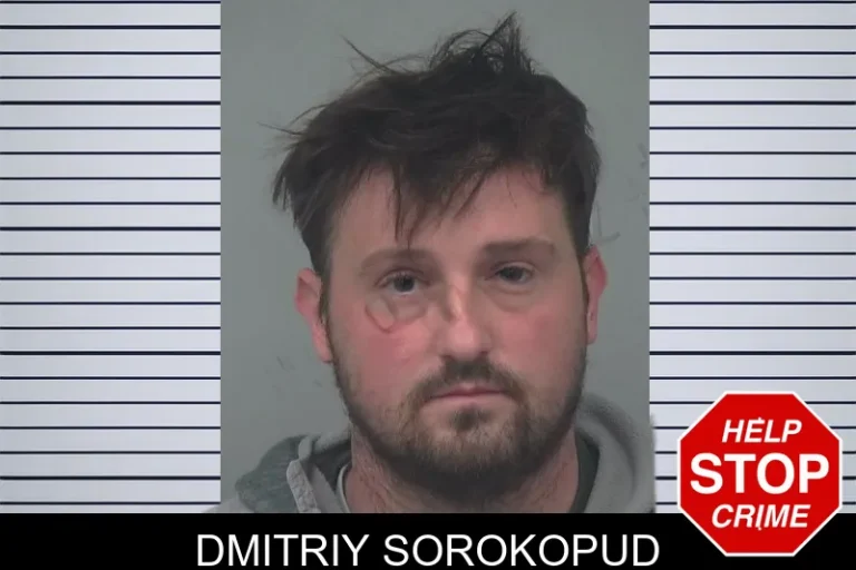 Dmitriy Sorokopud mugshot – Gwinnett County , Georgia Dmitriy Sorokopud