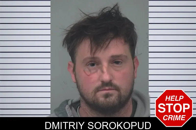 Dmitriy Sorokopud mugshot – Gwinnett County , Georgia Dmitriy Sorokopud mugshot