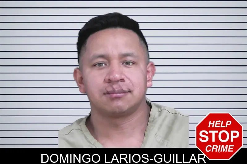 Domingo Larios-Guillar Mugshots