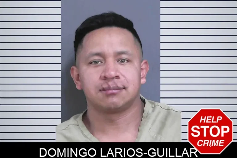 Domingo Larios-Guillar