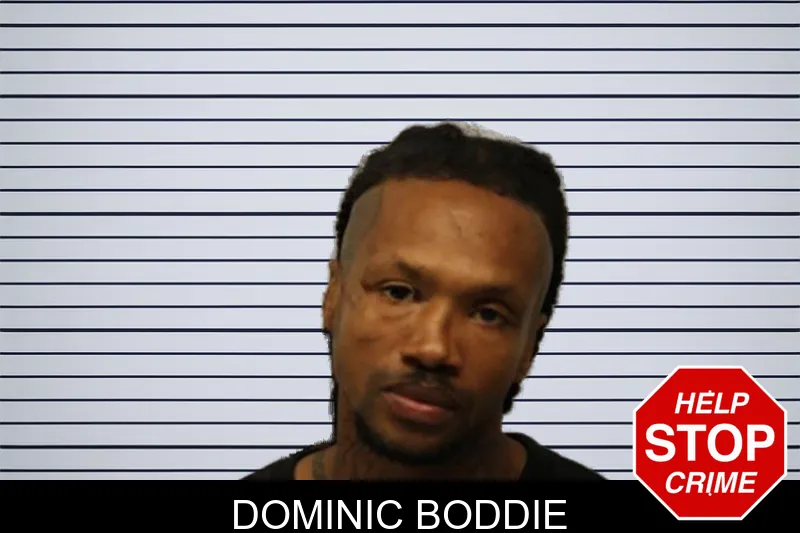 Dominic Boddie Mugshots