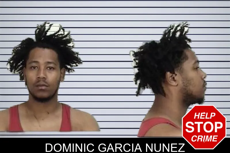 Dominic Garcia Nunez Mugshots