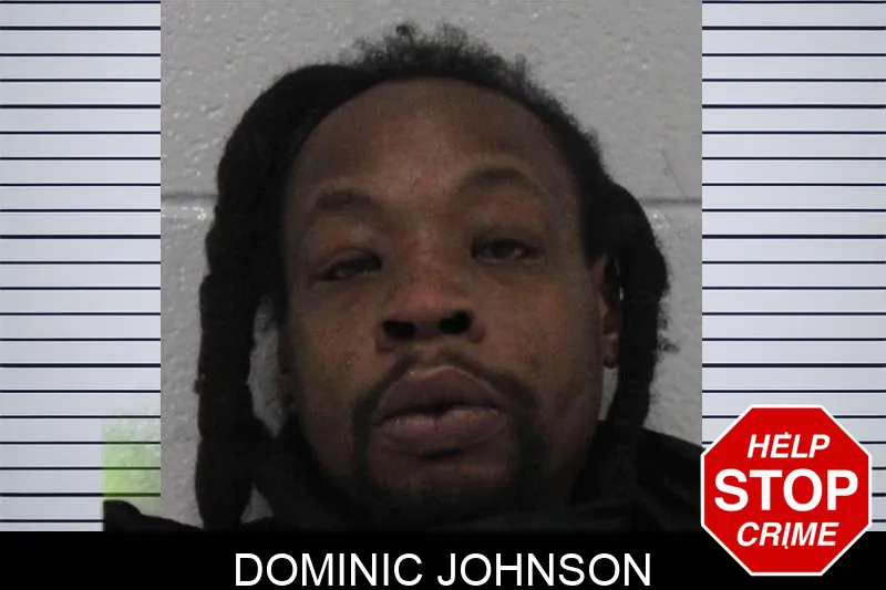 Dominic Johnson Mugshots