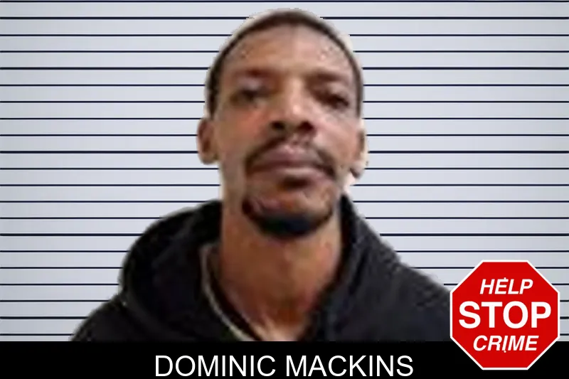 Dominic Mackins Mugshots