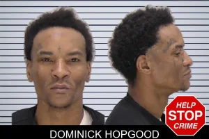 Dominick Hopgood mugshot