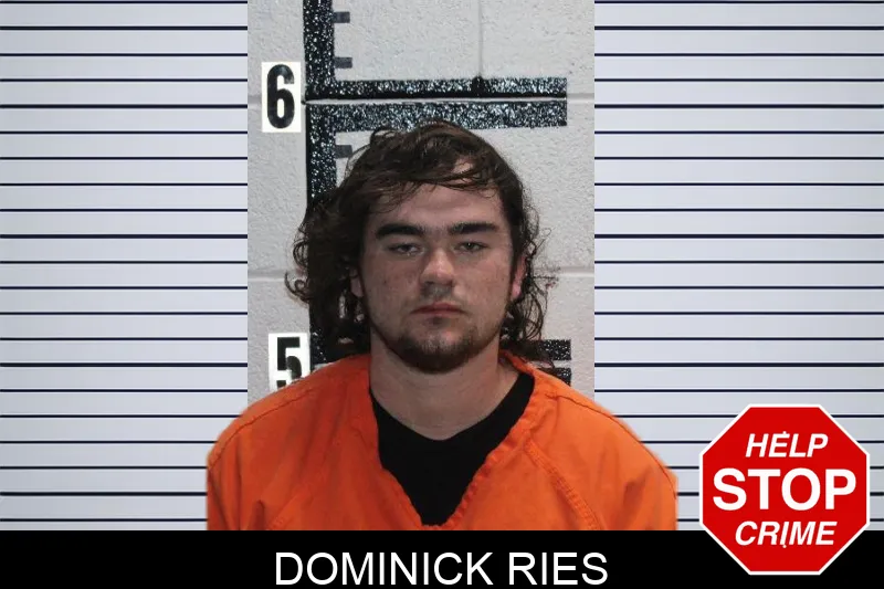 Dominick Ries mugshot