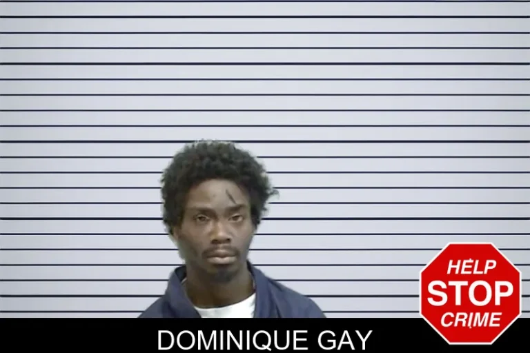Dominique Gay