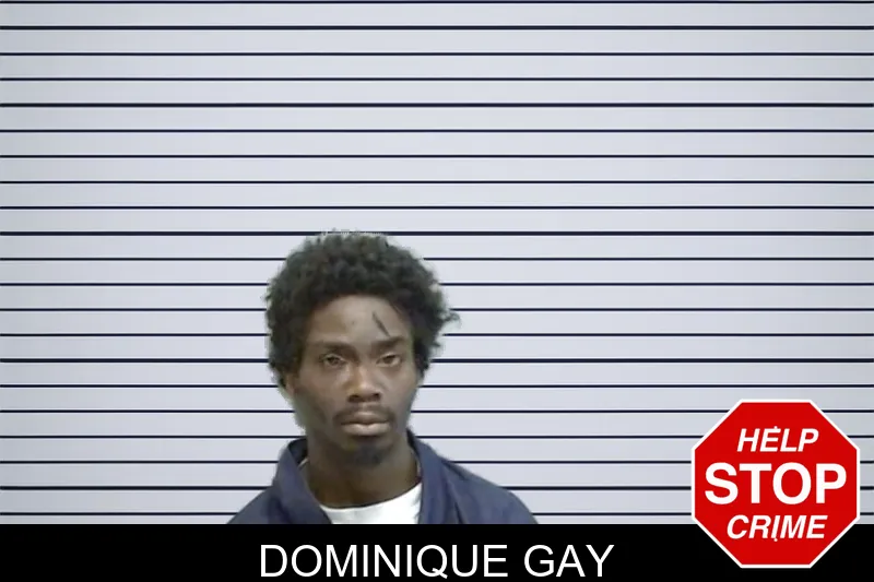 Dominique Gay mugshot – Fulton County , Georgia Dominique Gay mugshot