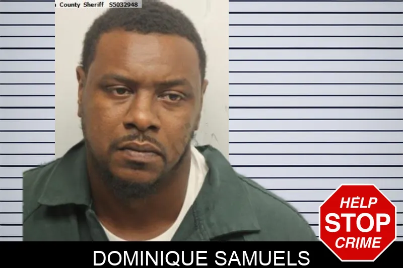 Dominique Samuels mugshot – Chatham County , Georgia Dominique Samuels mugshot