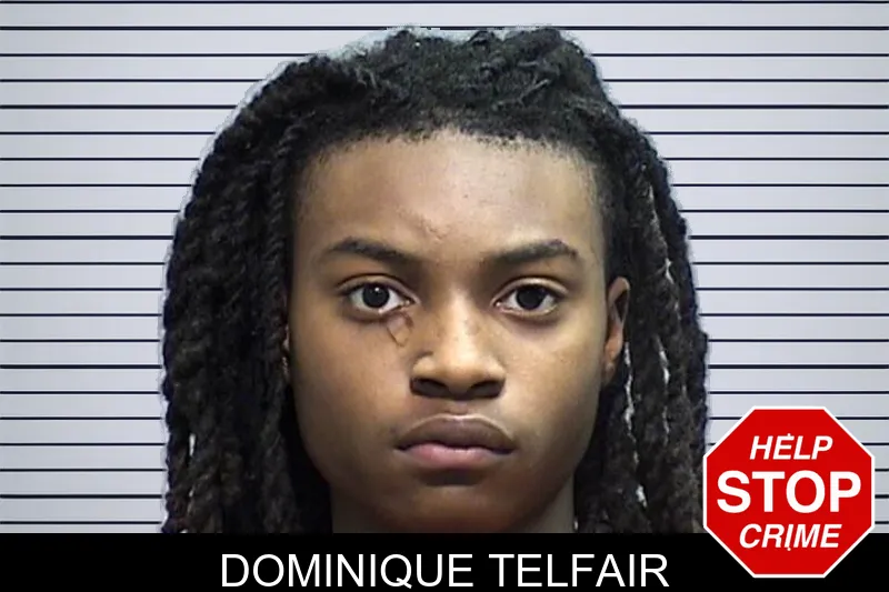 Dominique Telfair Mugshots