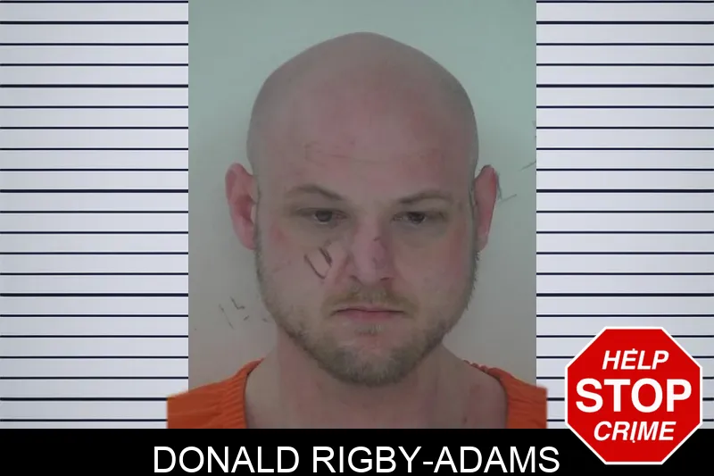 Donald Rigby-Adams Mugshots