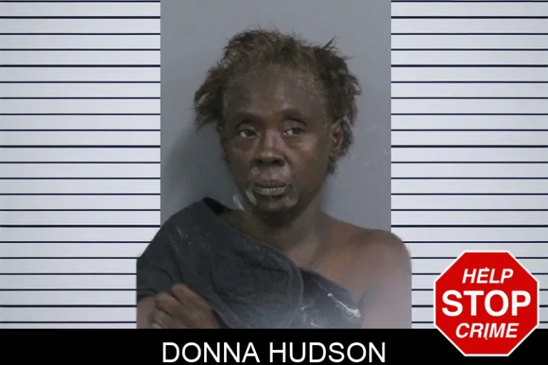 Donna Hudson mugshot – Catoosa County , Georgia Donna Hudson