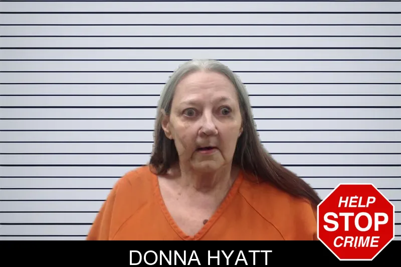 Donna Hyatt Mugshots
