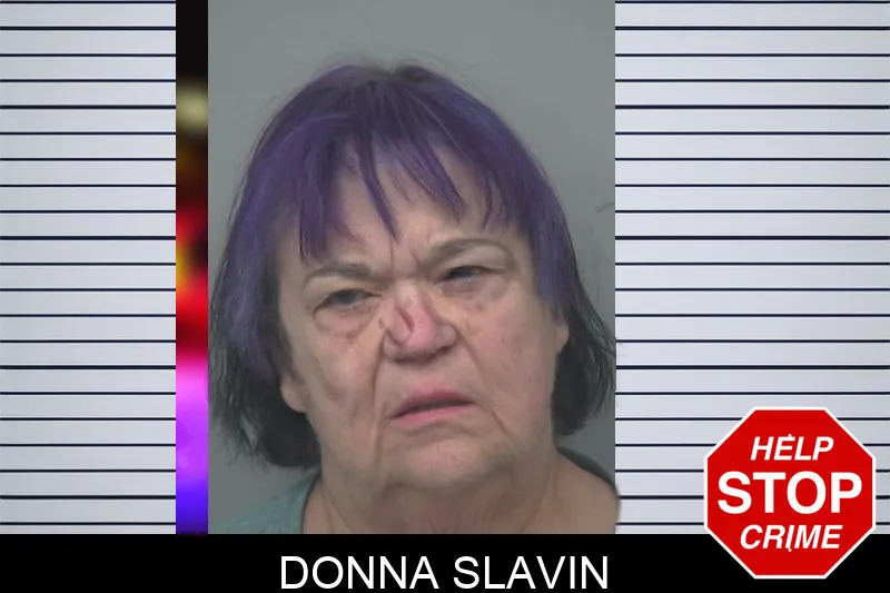 Donna Slavin mugshot