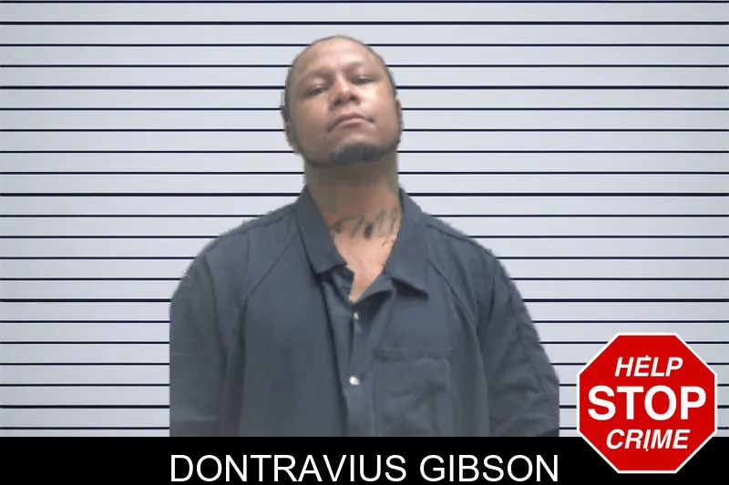 Dontravius Gibson Mugshots