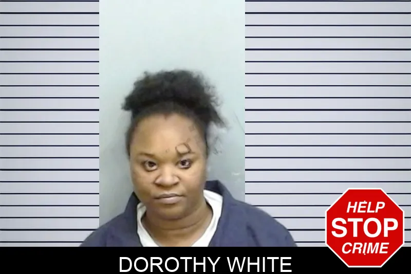 Dorothy White Mugshots