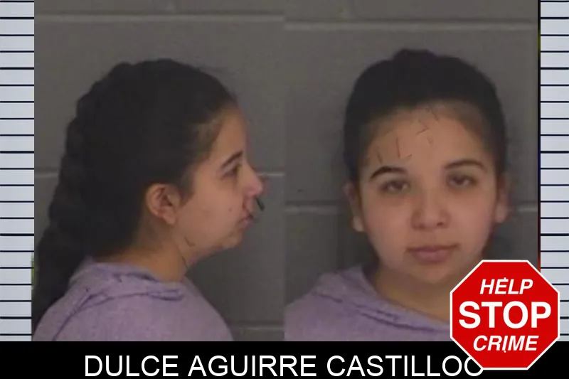 Dulce Aguirre Castilloo Mugshots