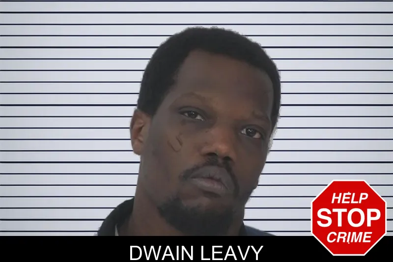 Dwain Leavy mugshot