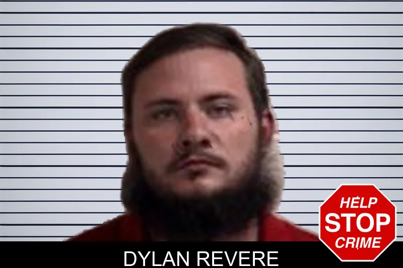 Dylan Revere mugshot