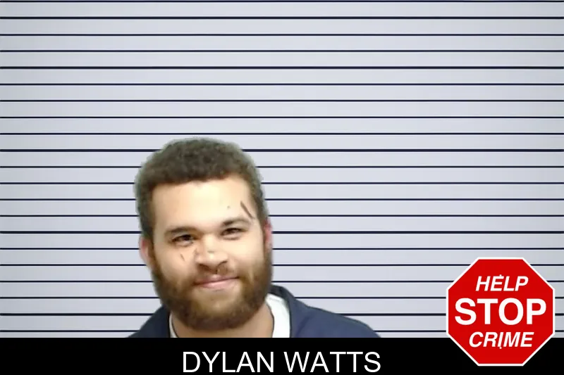 Dylan Watts Mugshots