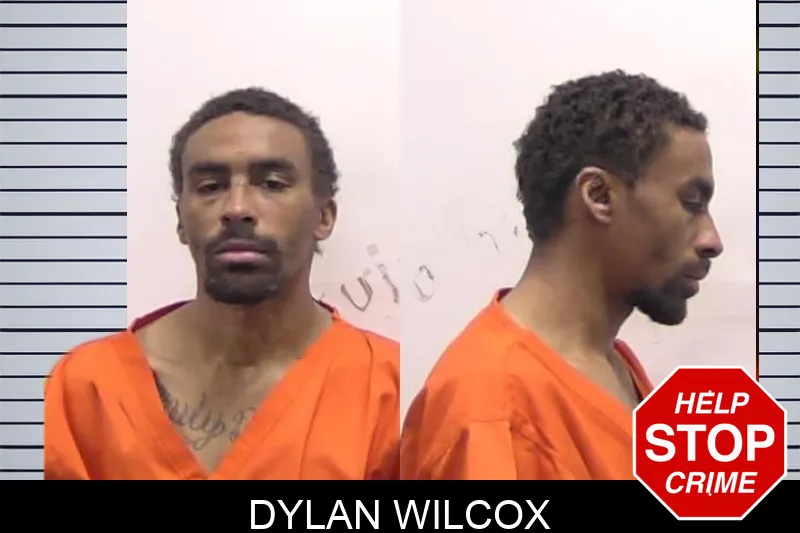Dylan Wilcox Mugshots