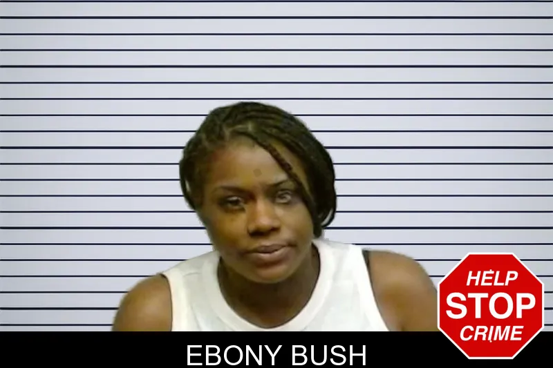 Ebony Bush mugshot – Fulton County , Georgia Ebony Bush mugshot