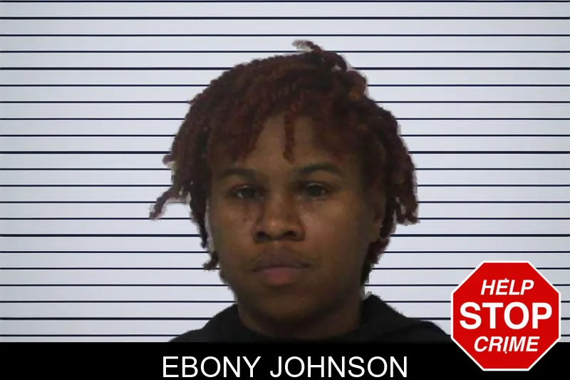 Ebony Johnson mugshot