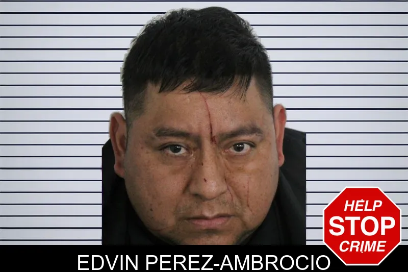 Edvin Perez-Ambrocio Mugshots