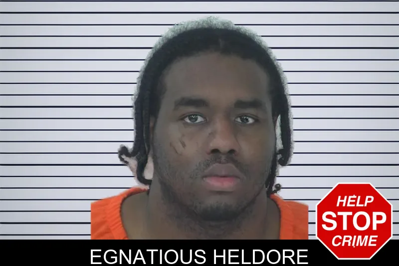 Egnatious Heldore mugshot – Fayette County , Georgia Egnatious Heldore mugshot