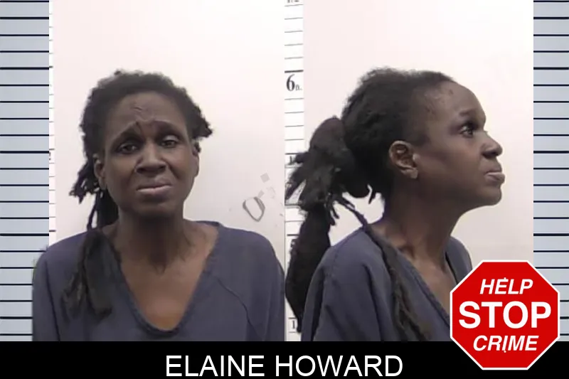 Elaine Howard Mugshots