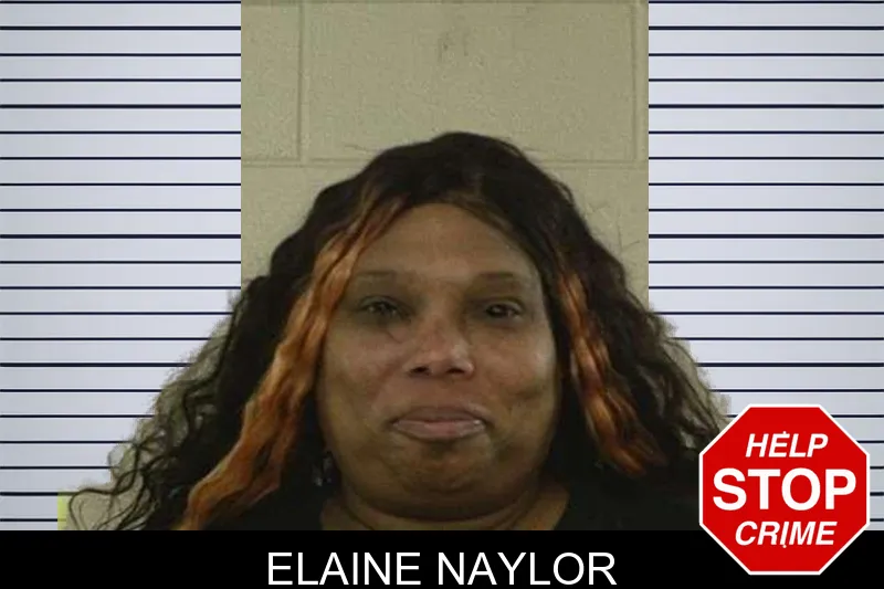 Elaine Naylor Mugshots