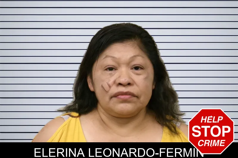 Elerina Leonardo-Fermin Mugshots
