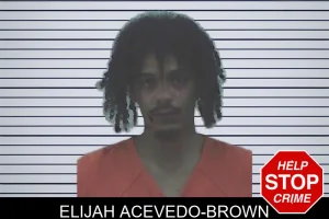 Elijah Acevedo-Brown mugshot