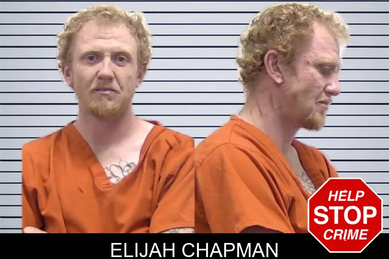 Elijah Chapman mugshot – Clarke County , Georgia Elijah Chapman mugshot